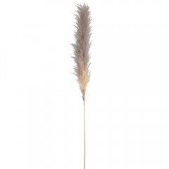 NATURAL PLUM PAMPAS GRASS 